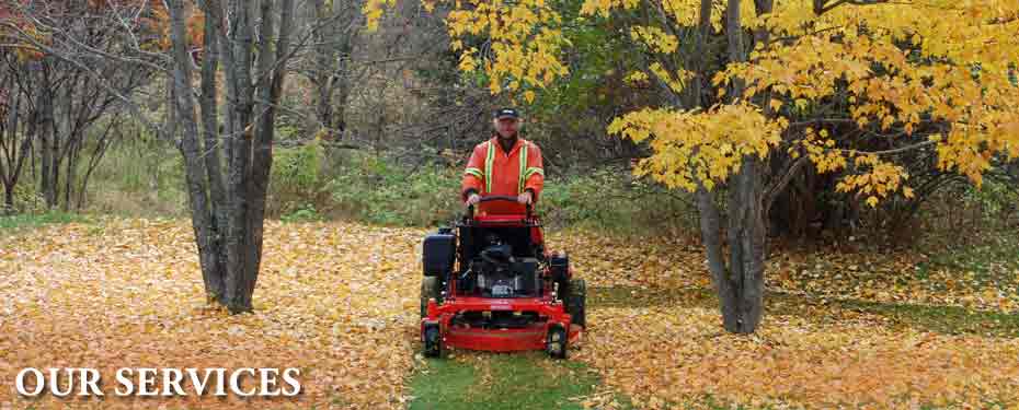 Mulching leaves with a Gravely 1948 Pro Stance 
